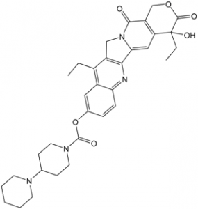Irinotecan (CPT-11) 97682-44-5